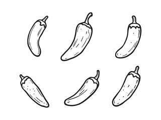 Jalapeño Pepper Line Art Minimal Illustration