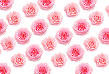 Delicate Pink Rose Repeat Pattern