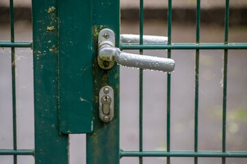 Wet metal door handle on green gate after rain