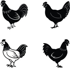 Fototapeta premium set of chickens vector silhouettes