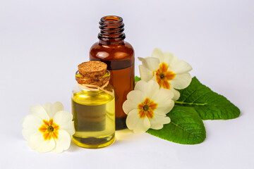 Organic cosmetics, Primula natural oil, handmade with herbal and primrose flower extracts in glass...