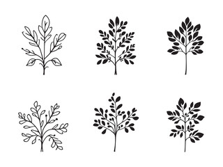 Mustard Greens Line Art Drawing