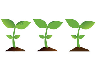 vector young plant growing from soil