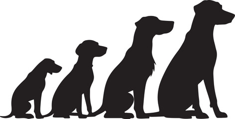Silhouettes of Dogs in Various Sizes: Puppy, Small Dog, Medium Dog, Large Dog - Growth Stages, Canine Evolution, Pet Development, Animal Size Comparison, Dog Shapes and Postures
