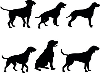 Silhouettes of Various Dog Breeds in Different Poses - Labrador, Retriever, Hound, Canine, Pet, Animal, Silhouette Art, Dog Shapes, Dog Outlines, Dog Poses, Vector Illustration, Graphic Design