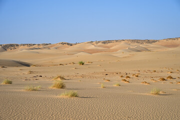 Paysage désertique du Sahara en Mauritanie