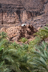 Maison sur les hauteurs dans l'oasis de Terjit en Mauritanie