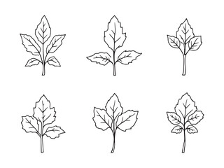 Simple Sorrel Plant Vector Drawing