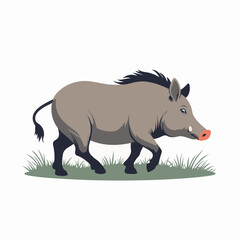 Naklejka premium Wild boar sus scrofa illustration. Walking wild boar in grass. Detailed wild boar image perfect for educational posters or nature documentaries.