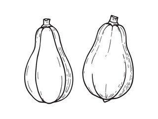 Spaghetti Squash Line Art for Kitchen Decor