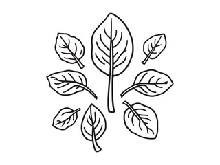 Fresh Spinach Line Drawing in Simple Style