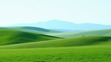 Obraz premium landscape with green grass and blue sky
