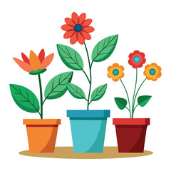 Colorful blooming flowers in a pot, perfect for spring garden decoration