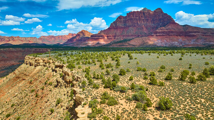 Aerial Desert Plateau and Red Rock Canyon with Lush Valley Panoramic View