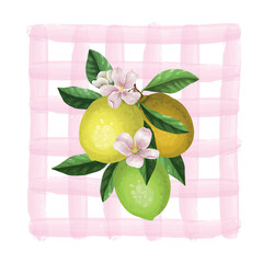 Lemon bouquet on pink plaid background