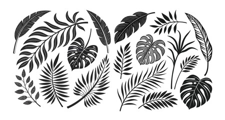 Set of Tropical leaves. Tropical leaves, palm leaves silhouettes, diverse collection, black shapes, design elements, artistic embellishments, leaf vector.  Nature leaves collection vector illustration