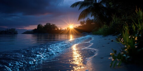 Sunrise over tranquil shoreline reflecting light on calm water with palm trees