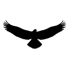 Silhouette of majestic eagle soaring with wings spread wide across the sky