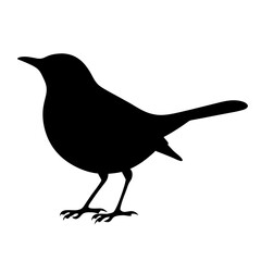 Silhouette of a small bird with detailed feet standing sideways profile
