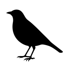 Silhouette of a small bird, standing, with dark feathers, in vector format