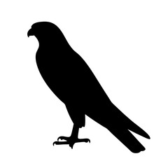 Black silhouette of a majestic raptor standing tall on a white background