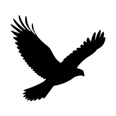 Silhouette of an eagle soaring powerfully through the air in full flight