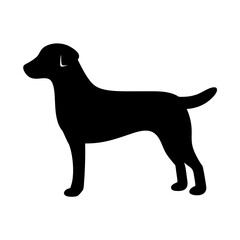 Black Labrador dog silhouette stands against a white background profile view