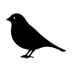 Black silhouette of a small bird standing on its feet against white
