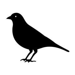 Fototapeta premium Black bird silhouette against white background in simple graphic illustration