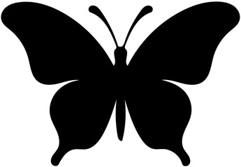 butterfly vector illustration