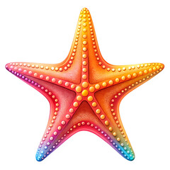 starfish illustration isolated on white background.PNG Transparent file type with high definition picture quality available.