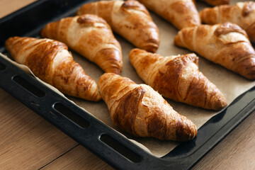 Homemade croissants freshly baked on a tray