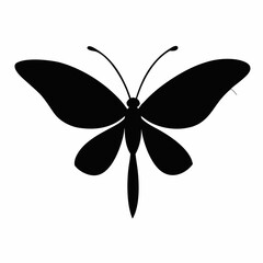 Fototapeta premium Colorful isolated butterfly vector illustration on white background, a beautiful insect design for summer decoration