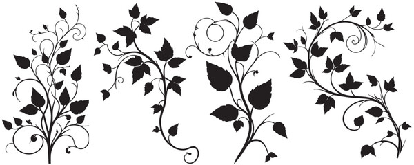 Silhouettes ivy vines form vertical lines or frame corners,  Black creeper vines with hanging branches and leaves. Floral decor set of garden ivy plants vector illustration
