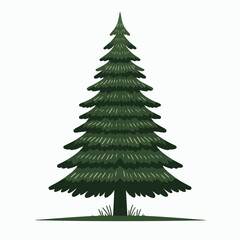 Fototapeta premium spruce tree vector illustration