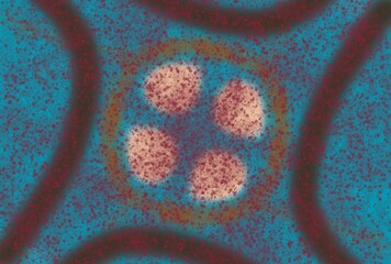 close up of a soft toy