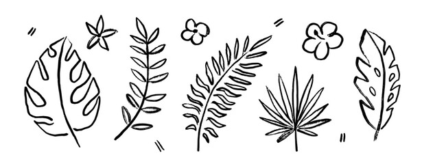 Textured chalk tropical leaves and plants in outline style. Botanical elements collection for design