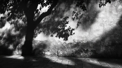 Tree Shadow on Stone Wall