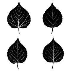 Aspen Leaf Silhouette vector illustration