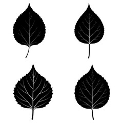 Aspen Leaf Silhouette vector illustration