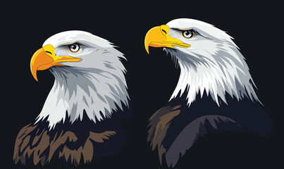 Obraz premium Detailed vector illustration of two majestic bald eagle heads with sharp eyes and yellow beaks on dark background in flat minimalist style for wildlife concept design