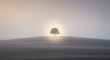 Solitary Tree on Hilltop at Sunrise Serene Landscape Photography