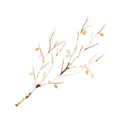 Fototapeta premium Minimal birch branch, isolated to transparent background, vector style, simple and clean design, light colors, PNG look --raw --ar 1:1 --v 7.0 --p 537mr6h