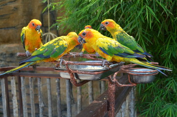 all animals that live in the zoo