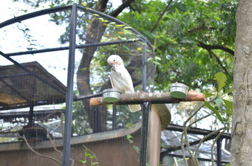 all animals that live in the zoo