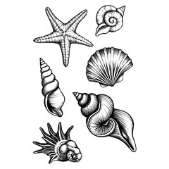 Seashell and Marine Life Pattern Design on Beach Theme