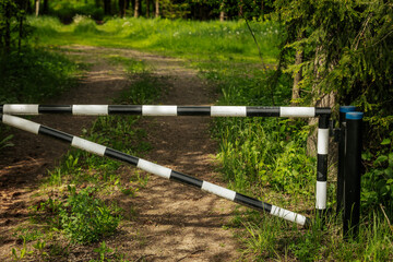 A weathered Do Not Enter road sign is attached to a tree trunk in a dense green forest, partially...