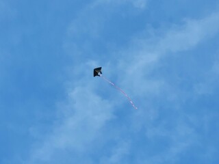 A kite flies high in the bright blue sky, protecting its long red tail. The photo shows the...