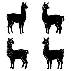 Alpaca Silhouette vector illustration