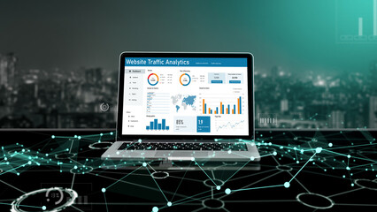 Computer software for website traffic analytics data on computer screen. Concept of SEO search...